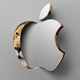 Illustration for article titled How Mac OS X Lion Brings the Best of iPad to Your Mac